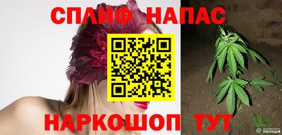 винт Будённовск
