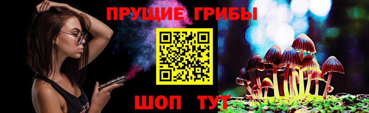 Протвино  хочу наркоту  Вход с VPN  Галлюциногенные грибы Cubensis 